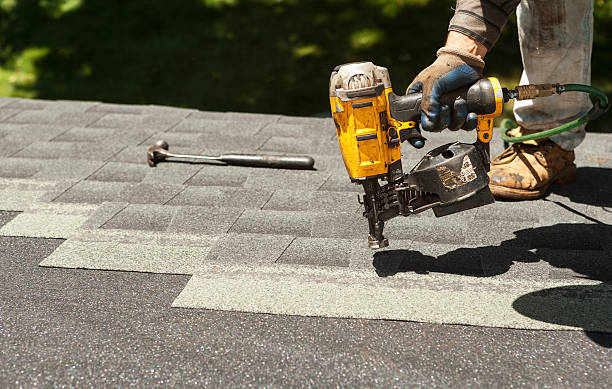Best Roof Gutter Cleaning  in Lithia Springs, GA
